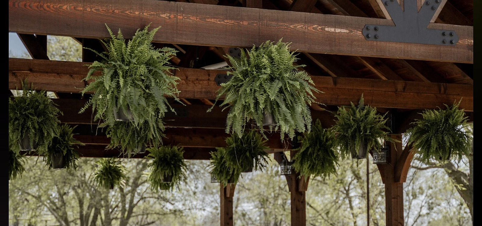 Covered pavilion at Manx Farms